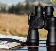 Есть «работа мечты» на Кипре — наблюдать весной за птицами 