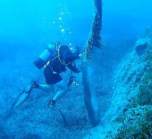 Кипрские дайверы навели чистоту на дне моря ради счастья черепах 