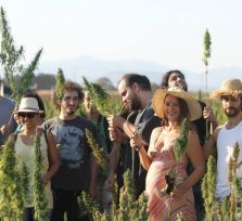Правительство Кипра одобрило выращивание конопли и производство медицинской марихуаны