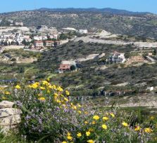 Растет спрос на кипрскую недвижимость 