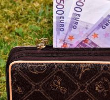 У россиянки украден кошелек с 3500 евро, 100 рублями и кредитками 