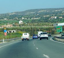 Вдоль дорог Кипра высадят 10 млн. деревьев