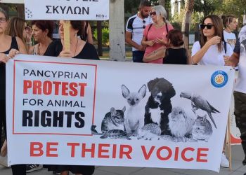 «Будь их голосом!». У президентского дворца в Никосии прошла акция в поддержку прав животных 