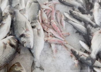 C 6 апреля на Кипре действует нулевая ставка НДС на мясо и рыбу. Каким будет налог при продаже каракатиц и колбасы?