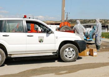 Что с ящуром на Кипре? Ветслужба: «Ни один комар не сможет проникнуть в загоны»