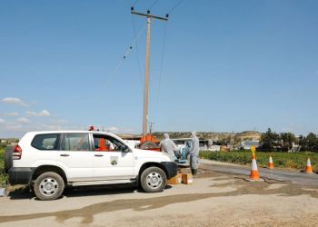 Кипр могут лишить доступа к единому рынку ЕС, если власти не отправят на убой всех животных на 38 фермах с ящуром