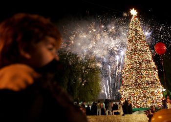 Когда зажгутся главные рождественские елки в Пафосе, Никосии и Лимассоле?