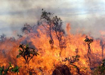 Никто не ожидал пожаров на Кипре в ноябре. Вертолеты были взяты в лизинг до конца октября