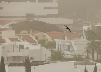 Пыль — угроза общественному здоровью. Нужны законы, которые защитят жителей Кипра 