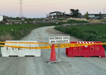 Ситуация с ящуром на Кипре вышла из-под контроля. Введен общенациональный карантин 