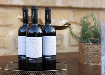 Три красных сухих кипрских вина получили «Большие золотые медали»