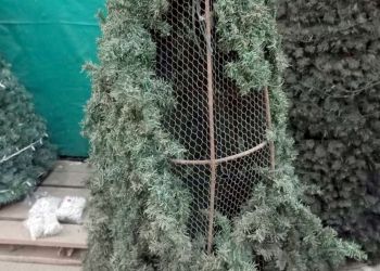 В Ларнаке повредили часть рождественских украшений. И часть украли