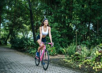 «Зеленые маршруты» Лимассола: реализация проекта двух колец протяженностью 8 и 12 км начнется в 2028 году