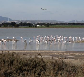 3 марта: какие рейсы отменены из аэропортов Республики Кипр? А сколько состоится? 
