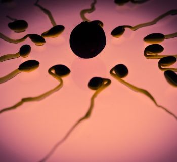 Десятки британских семей были введены в заблуждение относительно доноров для ЭКО на севере Кипра