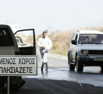 На КПП британских баз Кипра введены меры по борьбе с распространением ящура