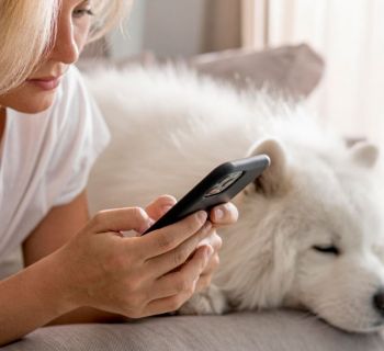 Налоговый департамент Кипра разработал онлайн-калькулятор для расчета подоходного налога