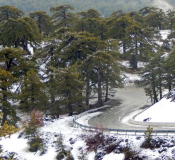 Phileleftheros: жителей Кипра ждет самая холодная ночь зимы