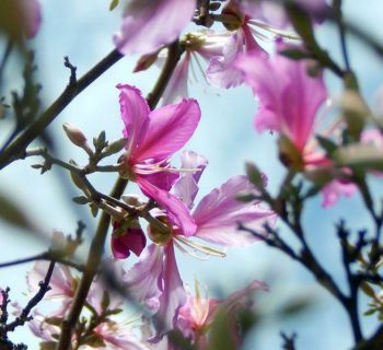 Погода на Кипре: пыль из Ливии, ветер с порывами до 6 баллов и температура воздуха до +21