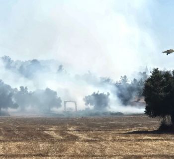 Пожар в Пирге: огонь уничтожает пахотные земли и угрожает домам