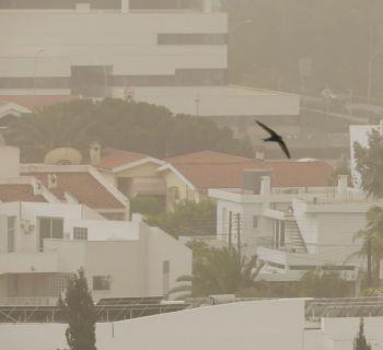 Пыль — угроза общественному здоровью. Нужны законы, которые защитят жителей Кипра 