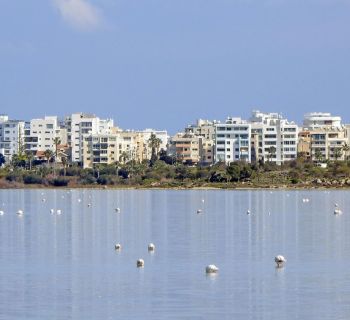 Рынок недвижимости Кипра в начале 2025 года: активно дорожают квартиры и офисы