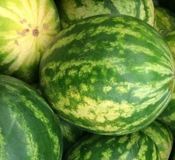 У продавца арбузов в столице Кипра украли 270 тысяч евро