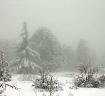 В горах Троодоса уже выпало 27 см снега. Полиция ограничила движение на дорогах, ведущих к вершинам