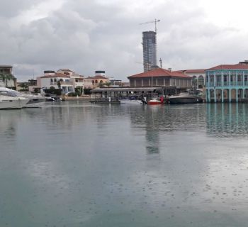 В марте на Кипре выпадет осадков в два раза больше нормы. В последние выходные месяца могут пройти дожди