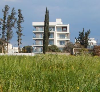 В семье среднего класса на Кипре на аренду жилья уходит одна зарплата