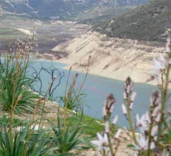Водохранилища Кипра заполнены уже на 39,6%. Власти призывают продолжать экономить воду