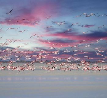Зоны Natura 2000 на Кипре: защита природы, возможные штрафы и сложности с выдачей разрешений для проектов