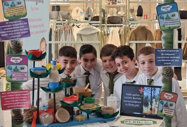 Кипрские школьники открыли бизнес по производству посуды из сосновых шишек. И завоевали первый приз на международном конкурсе 