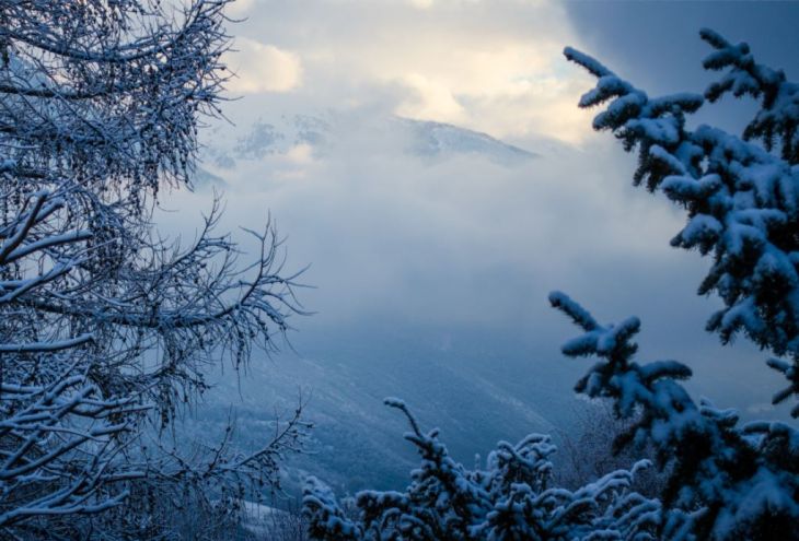 Ночью 20 января на Кипре ожидаются заморозки