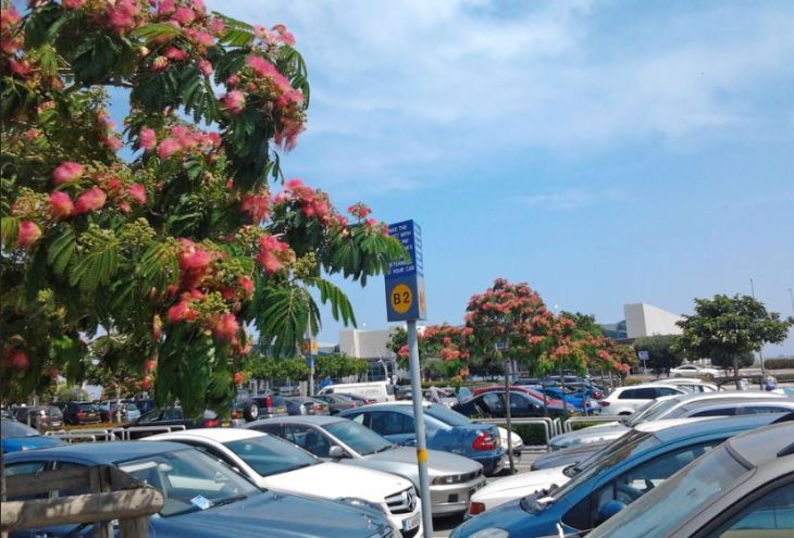 aeroport larnaki parkuemsya i uletaem