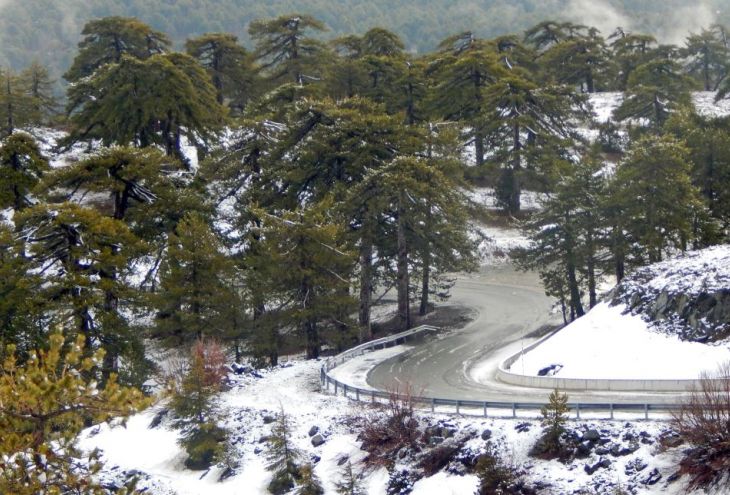 Phileleftheros: жителей Кипра ждет самая холодная ночь зимы