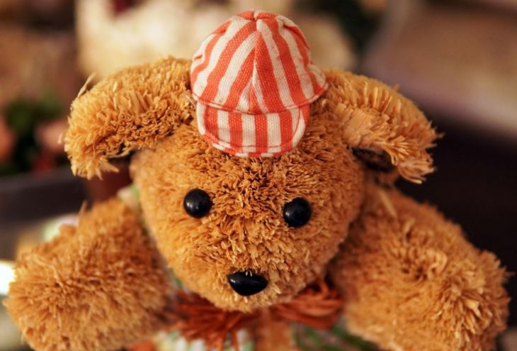 Плюшевый мишка без сопровождения вызвал переполох на рейсе Париж — Ларнака