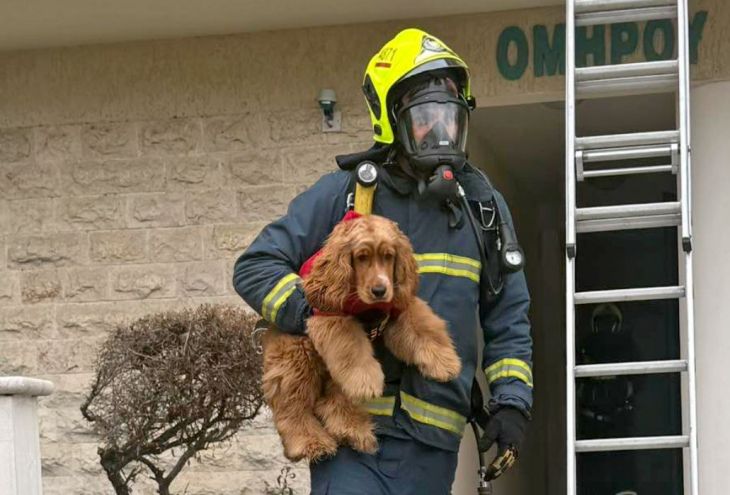 Пожар в многоквартирном доме в Ларнаке: 6 взрослых и 2 детей доставлены в больницу с проблемами с дыханием
