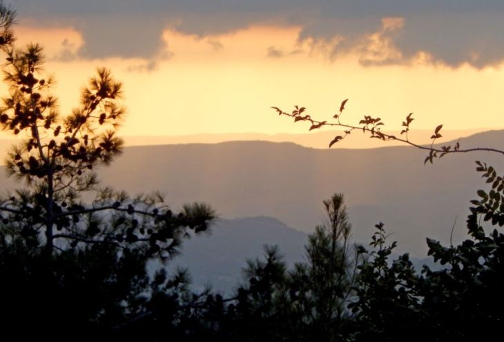В горах Троодоса заблудились два молодых человека. Спасатели нашли их 