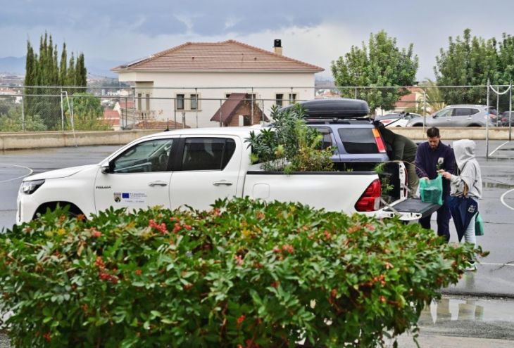 В Ларнаке, Айя-Напе, Пафосе и Полисе лесной департамент будет раздавать саженцы деревьев и кустарников