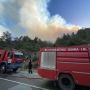 Большой пожар близ деревни Фармакас взят под контроль, но возможны случаи повторного возгорания. Что стало его причиной? 