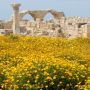 Департамент античности Кипра возмущен «незаконным» видео для взрослых на Куриуме 
