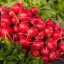 Food Connect поможет нуждающимся получать излишки продуктов питания бесплатно 