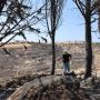 Как кипрское общество справляется с психологическими последствиями катастрофического пожара и учится быть сильнее