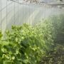 На Кипре меняют правила повторного использования очищенных сточных вод