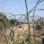 Парламент Кипра одобрил создание отряда из 300 полицейских для борьбы с нелегальной миграцией в буферной зоне 