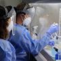Риск заражения хантавирусом на Кипре равен нулю