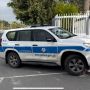 В США будет экстрадирован россиянин, прилетевший на Кипр на свадьбу 