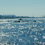 Власти Кипра ввели запрет на купание в море возле пляжа Айя Варвара в Лимассоле